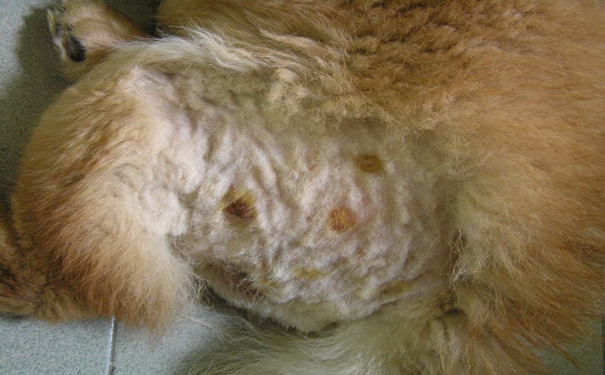 1487921744105664.png 图片1.png