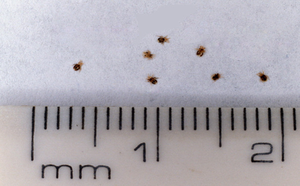 1487922074110729.png 图片4.png